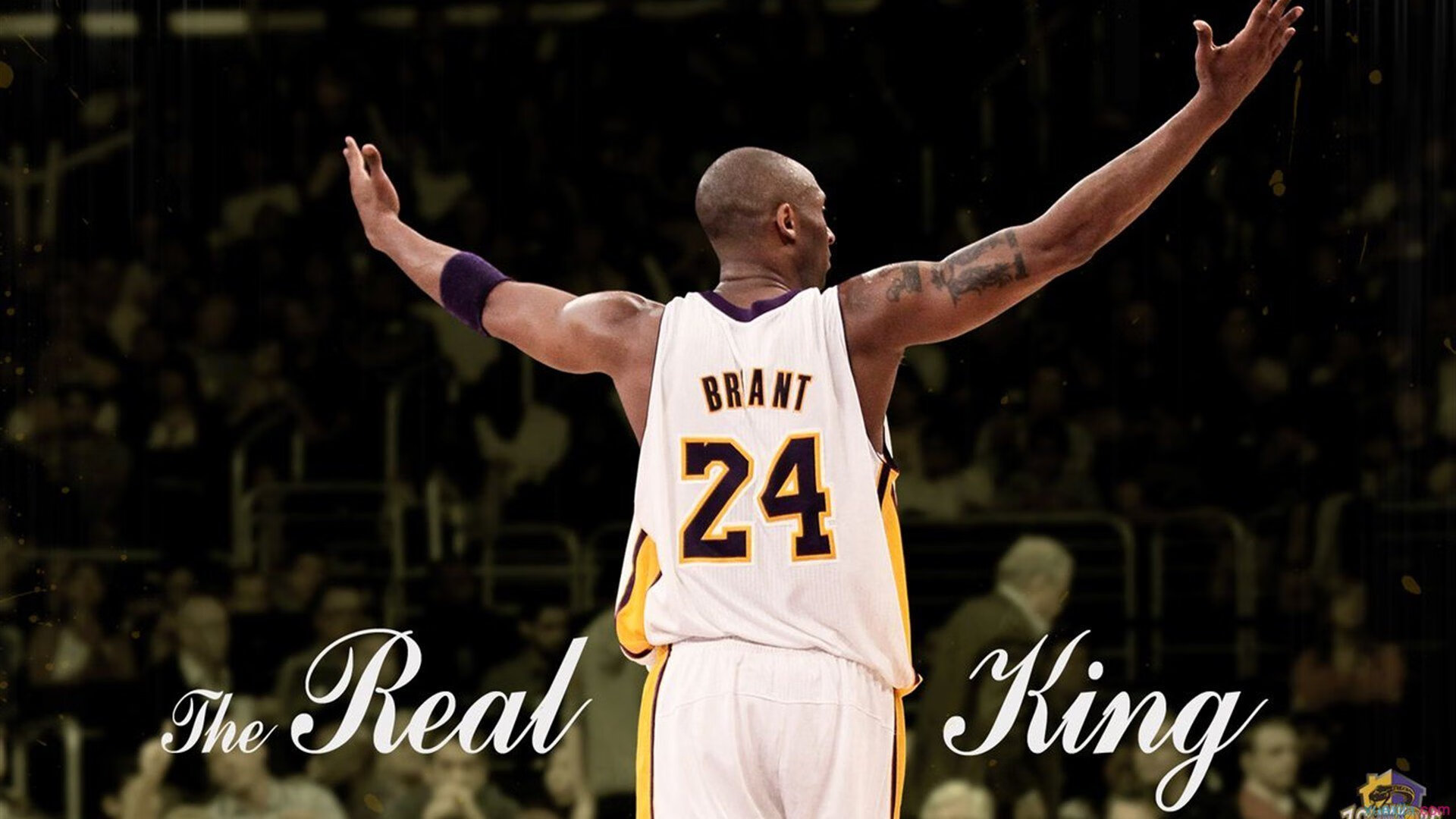 跨界狂想，当班凯罗在F1赛道接管比赛，鹈鹕如何逆转老鹰？